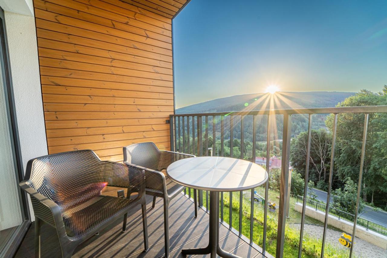 Apartment Silver Mountain Aparts Swieradow-Zdroj